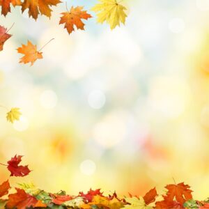 U utorak 01.11.2022. na blagdan Svih svetih trgovine će biti zatvorene, osim Spar supermarketa koji će raditi od 08h do 14h.