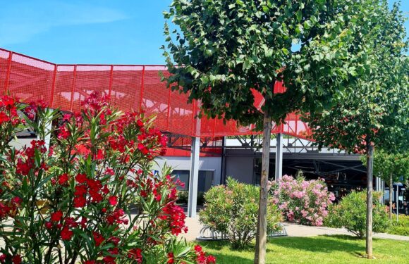 Marti neće raditi 15.08.2023. na blagdan Velika Gospa