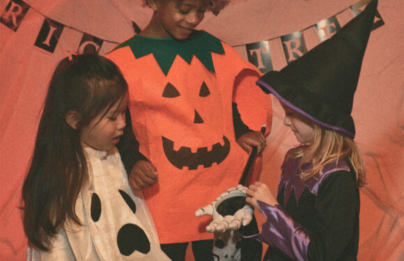 Halloween kolekcije u Sinsay Marti