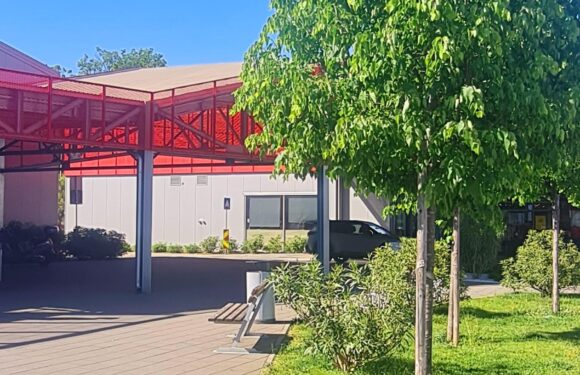 Nedjelja 12.05. 2024. – OTVORENO 09-21h